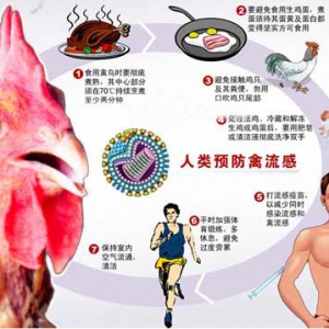 H7N9病毒确认会通过黏膜唾液在同居者中传播