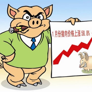猪肉升幅超一成  零售价格或将走高