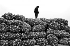 中国出口韩国2200吨大蒜遭退回原因