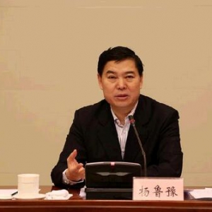 杨鲁豫简历 济南市长杨鲁豫涉嫌严重违纪被调查